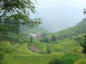 老張寨自然村 老張寨自然村