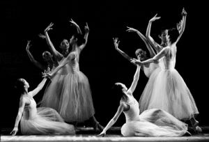 武漢大學藝術學系藝術培訓中心 武漢大學藝術學系藝術培訓中心