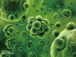 微生物營養類型