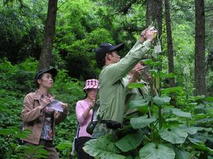 大瑤山自然保護區
