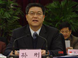 孫剛[江西省人民政府原顧問、黨組成員]