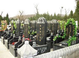 炎黃陵園 炎黃陵園