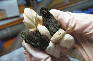 風乾了的戰國牛肉