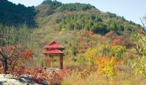 將軍坨風景區景點