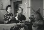 《錢》[1959年香港電影]