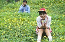 TVB劇集《精靈酒店》劇照