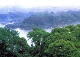 江口鳥洲 江口鳥洲