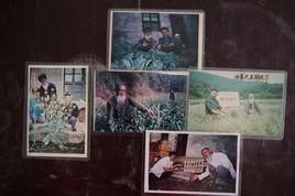 油菜花父子 油菜花父子