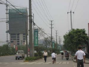 映日荷花二期 映日荷花二期