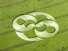 作物怪圈 作物怪圈