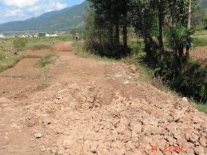 義朋自然村 義朋自然村