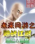 未來網遊之飈戰江湖 未來網遊之飈戰江湖