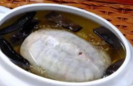 金龜元氣湯 金龜元氣湯