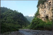 冷水河森林公園