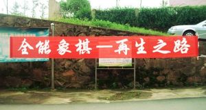 全能象棋 全能象棋