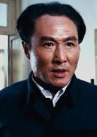 天雲山傳奇[1980年謝晉執導電影]