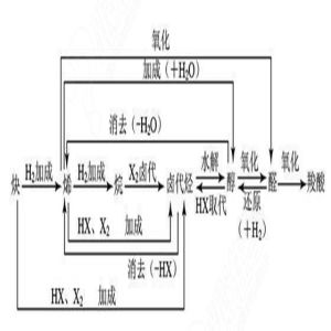 有機推斷 有機推斷