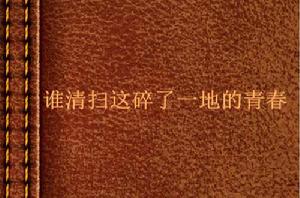 誰清掃這碎了一地的青春 誰清掃這碎了一地的青春