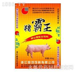 國茂集團 國茂集團