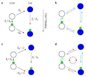 間隔因子 間隔因子