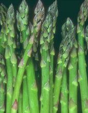 綠蘆筍