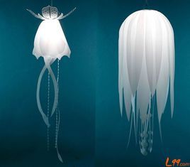 立方水母 立方水母