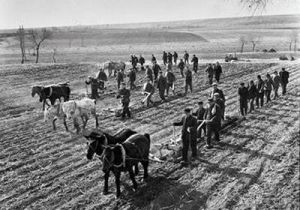 人民公社化運動 人民公社化運動