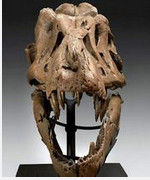 史前動物 史前動物