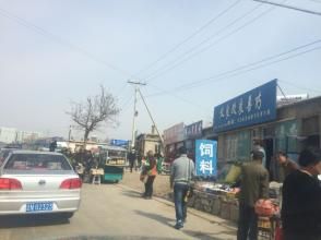 召都巴鎮 召都巴鎮