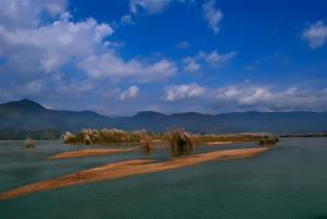 遮放濕地保護區 遮放濕地保護區