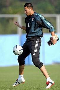 阿米爾·沙菲亞 阿米爾·沙菲亞