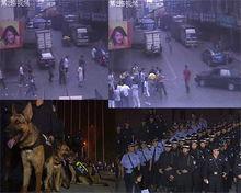 黑勢力插手經濟糾紛