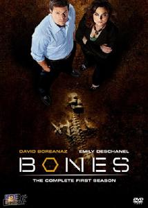 《識骨尋蹤》第1季