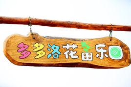 多多洛花田樂園