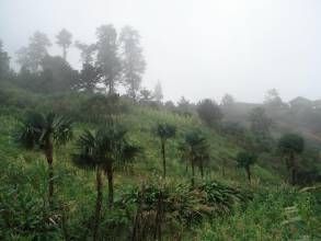 寸漢自然村 寸漢自然村