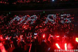 不再迷惘 不再迷惘