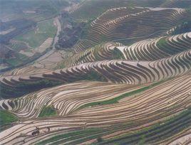 金坑梯田 金坑梯田