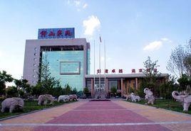 山東淄博傅山企業集團有限公司 山東淄博傅山企業集團有限公司