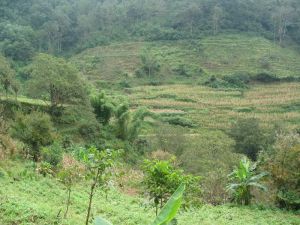 李家箐村 李家箐村