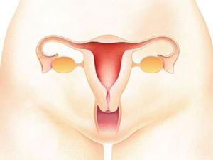 產後子宮復舊不全