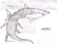 鄂魚[爬行動物]