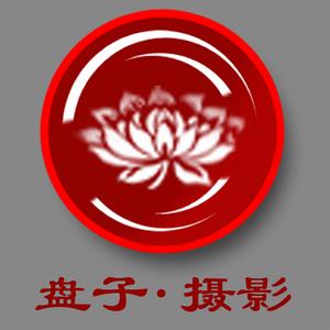武漢盤子攝影LOGO