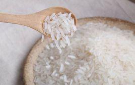 黎平香禾糯 黎平香禾糯