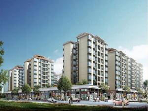 金朗華庭 金朗華庭