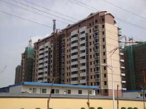 南湖1號 南湖1號