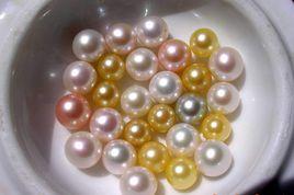 合浦南珠 合浦南珠