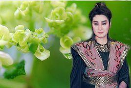 薛平貴出世 薛平貴出世