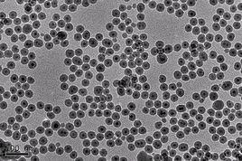 磁性納米粒子 磁性納米粒子