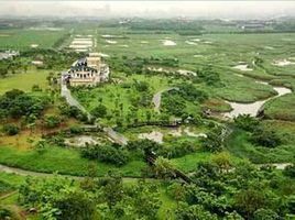 關渡自然公園 關渡自然公園