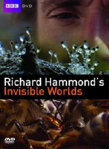 隱形世界 隱形世界